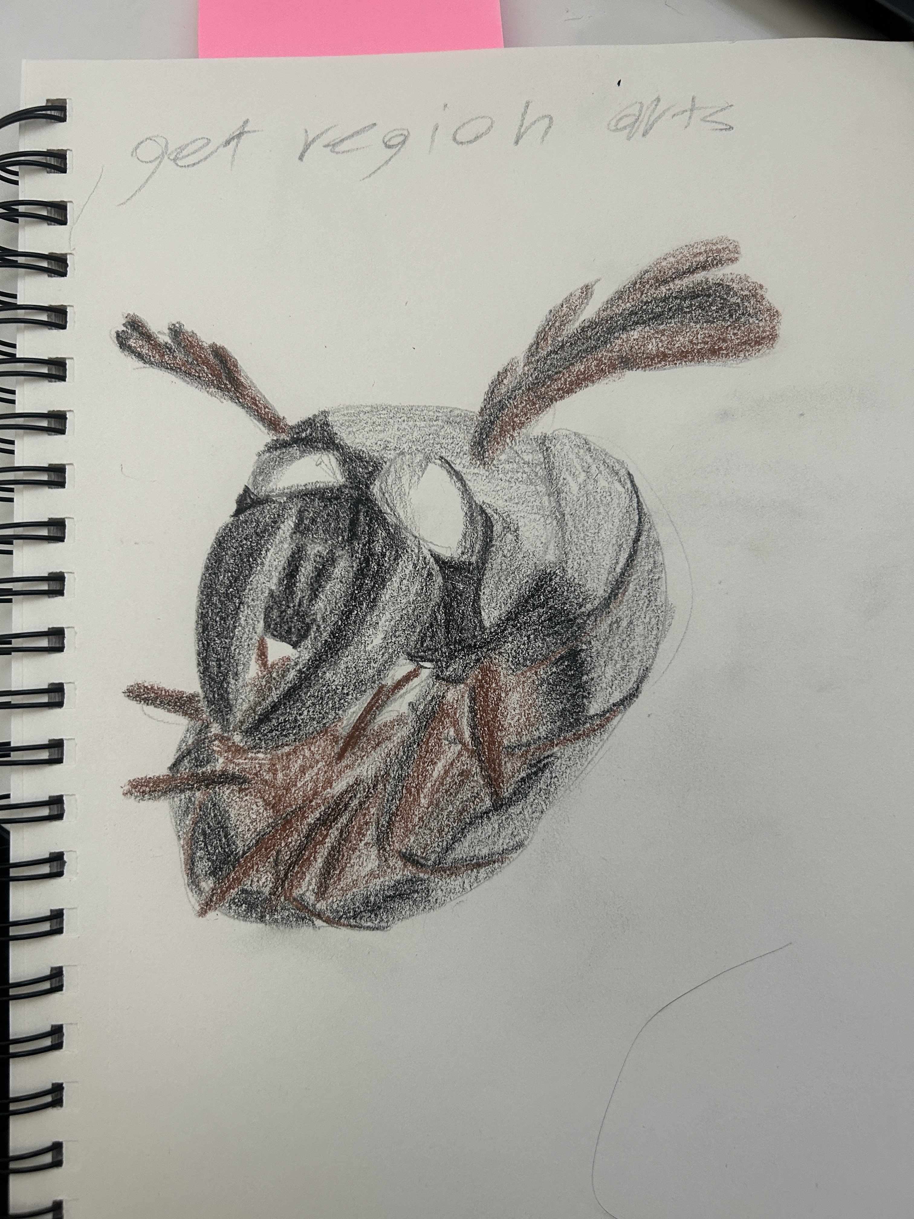 A creepy bug